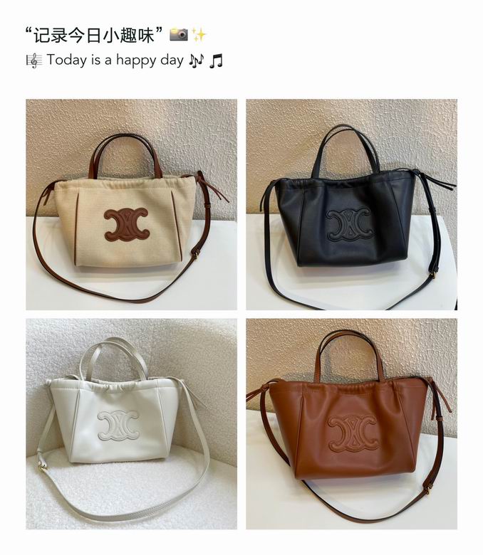Celine 8078 22x17x15cm zy (1)_